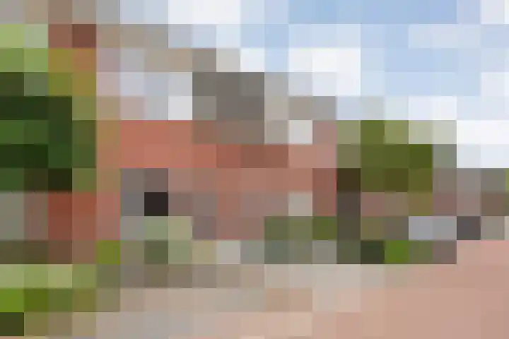 Sint Nicolaashof 9 Kampen thumbnail 32