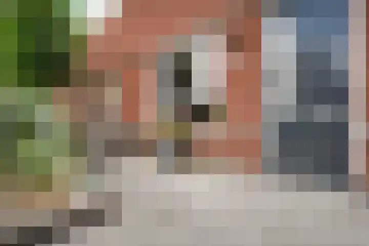 Sint Nicolaashof 9 Kampen thumbnail 34