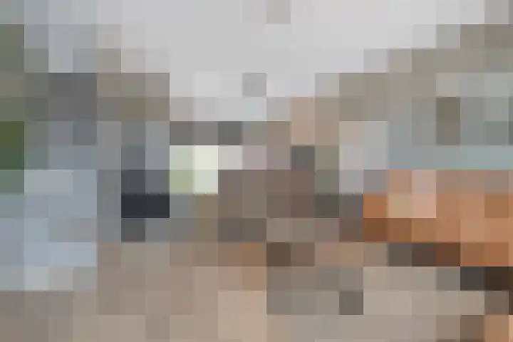 Sint Nicolaashof 9 Kampen thumbnail 6