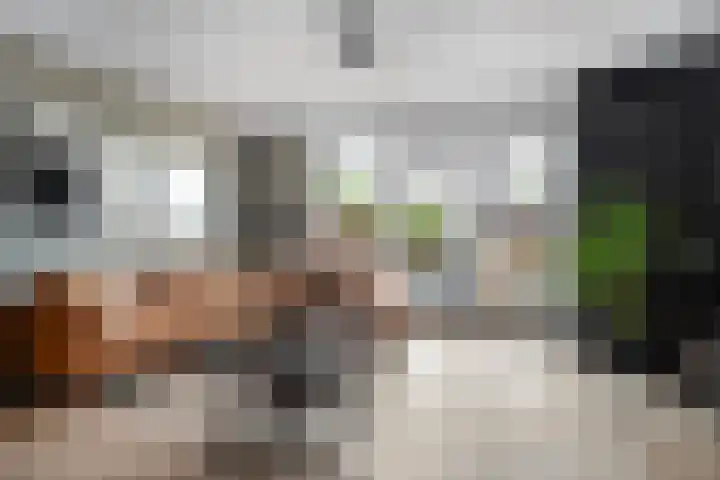 Sint Nicolaashof 9 Kampen thumbnail 7
