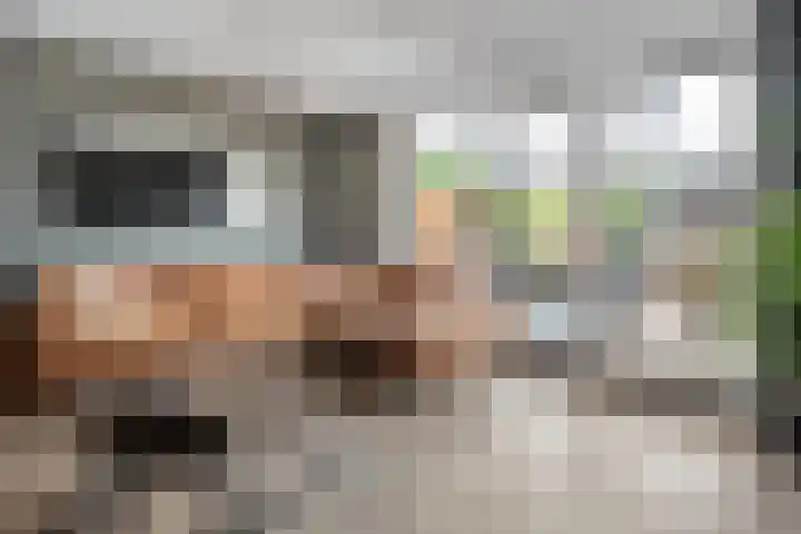 Sint Nicolaashof 9 Kampen thumbnail 8