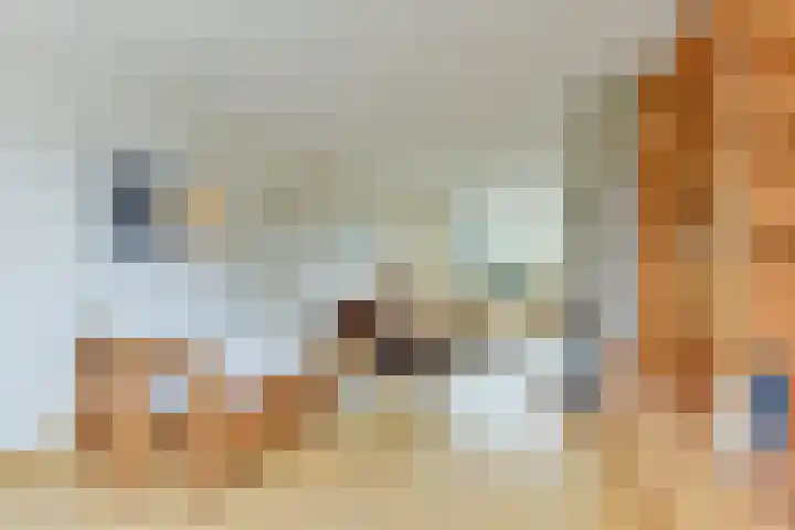 Sint Nicolaaslaan 120 Odijk thumbnail 11