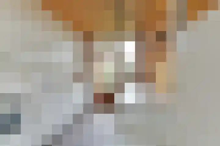 Sint Nicolaaslaan 120 Odijk thumbnail 13