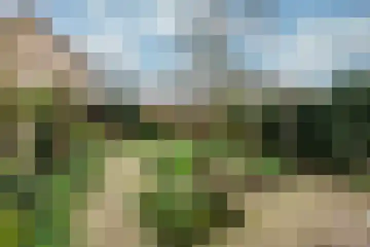 Sint Nicolaaslaan 120 Odijk thumbnail 15