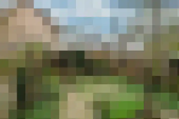 Sint Nicolaaslaan 120 Odijk thumbnail 16