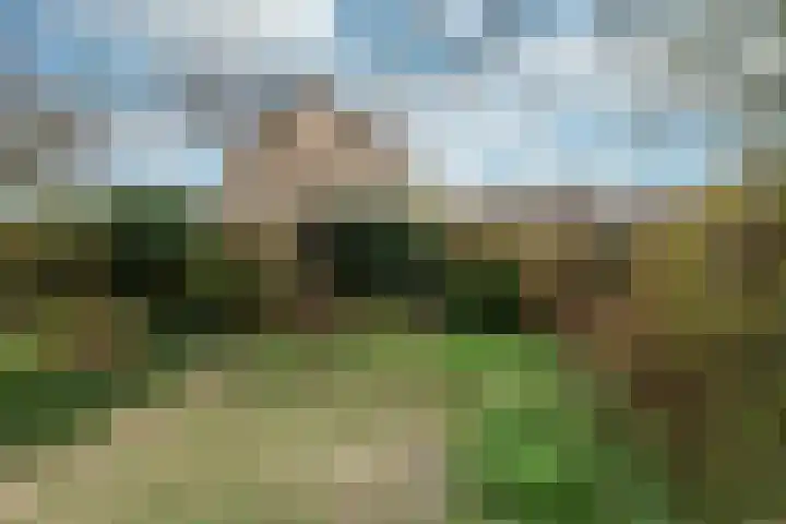 Sint Nicolaaslaan 120 Odijk thumbnail 17
