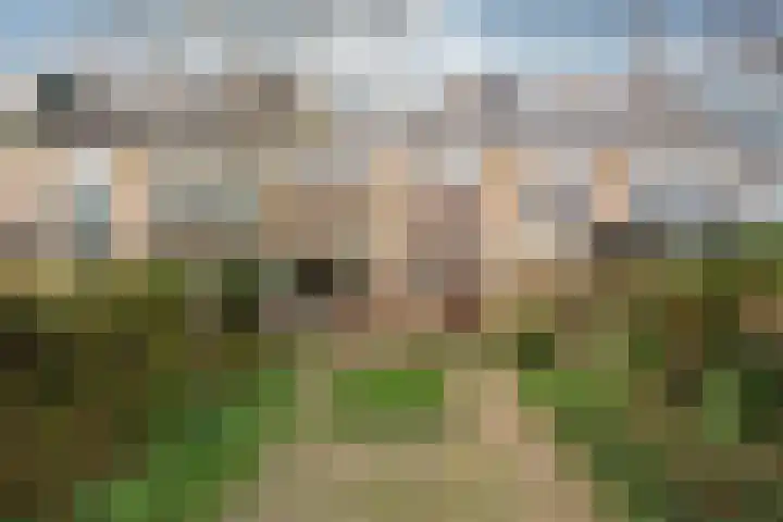 Sint Nicolaaslaan 120 Odijk thumbnail 18