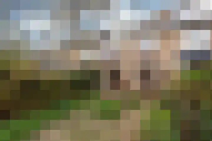 Sint Nicolaaslaan 120 Odijk thumbnail 19
