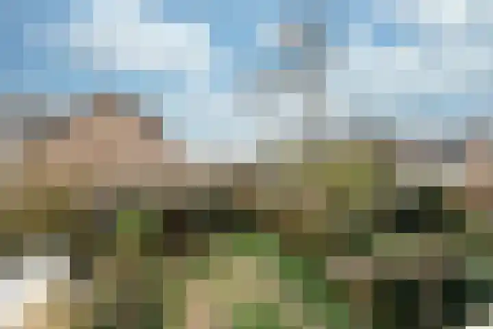 Sint Nicolaaslaan 120 Odijk thumbnail 27