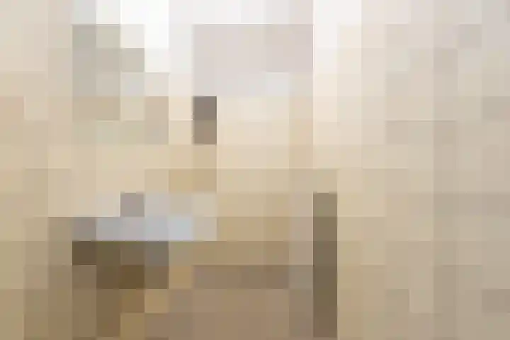 Sint Nicolaaslaan 120 Odijk thumbnail 34
