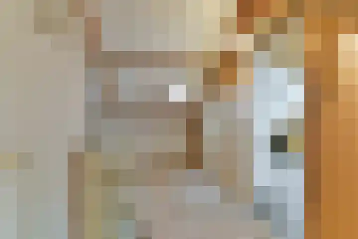 Sint Nicolaaslaan 120 Odijk thumbnail 35