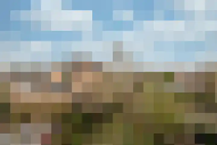 Sint Nicolaaslaan 120 Odijk thumbnail 38