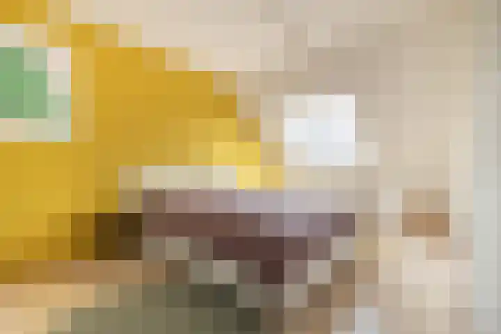 Sint Nicolaaslaan 43 Odijk thumbnail 13