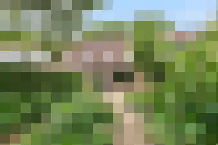 Sint Nicolaaslaan 43 Odijk thumbnail 22