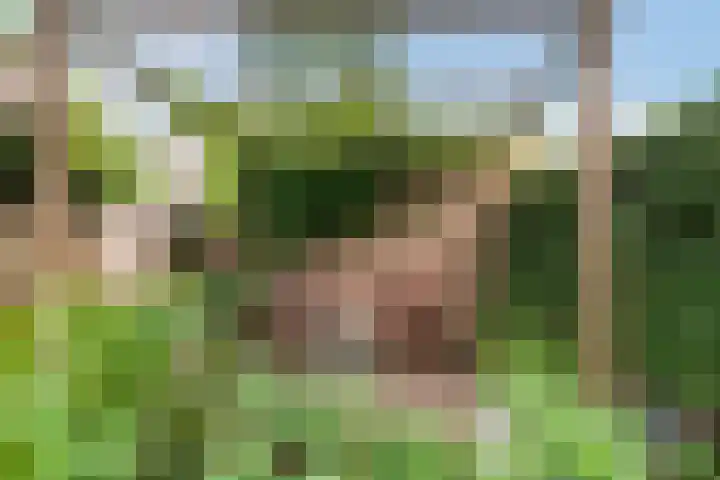 Sint Nicolaaslaan 43 Odijk thumbnail 23