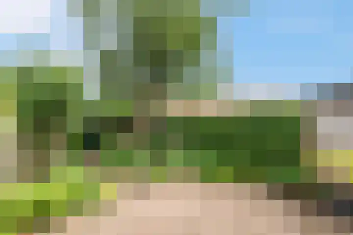 Sint Nicolaaslaan 43 Odijk thumbnail 24