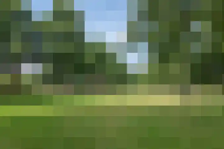 Sint Nicolaaslaan 43 Odijk thumbnail 27