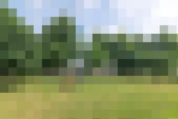 Sint Nicolaaslaan 43 Odijk thumbnail 28