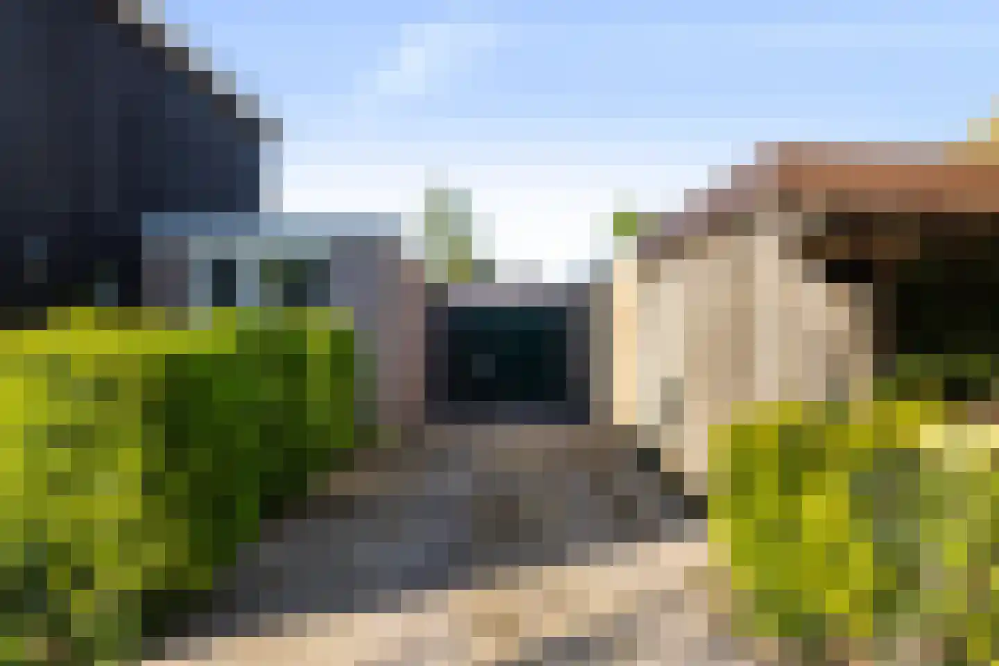 Sint Nicolaaslaan 5 Odijk thumbnail 49