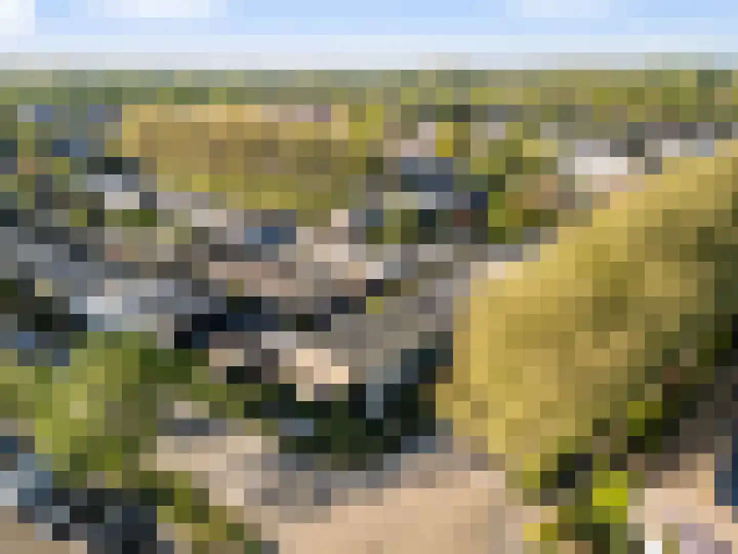 Sint Nicolaaslaan 5 Odijk thumbnail 54