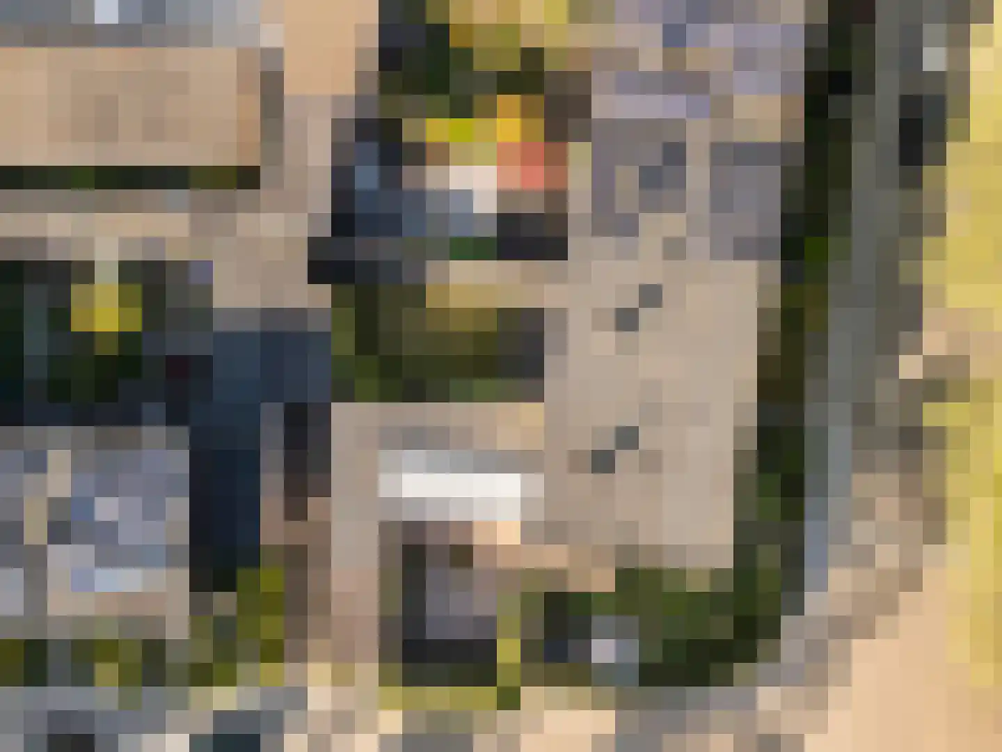 Sint Nicolaaslaan 5 Odijk thumbnail 55