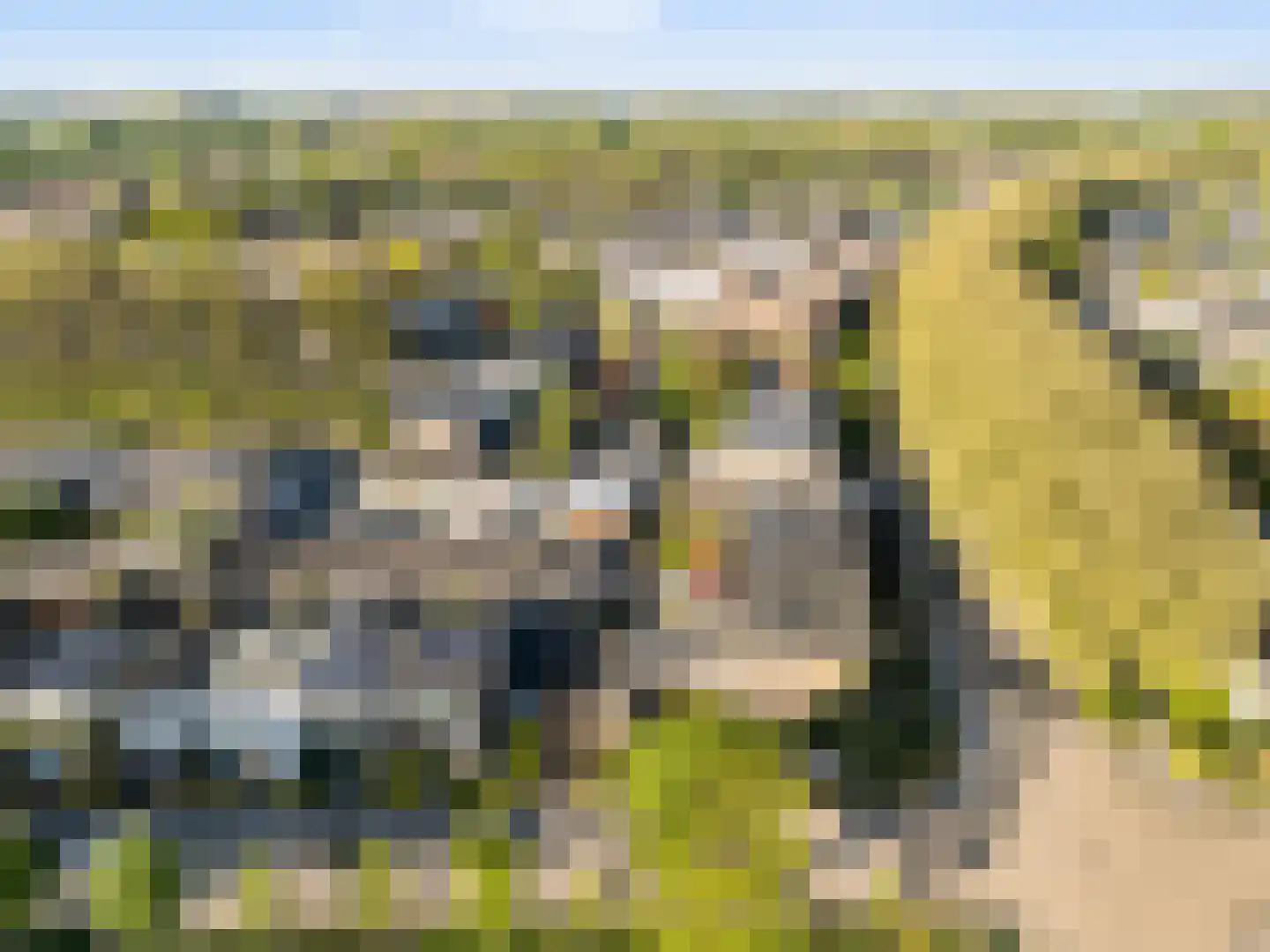Sint Nicolaaslaan 5 Odijk thumbnail 56