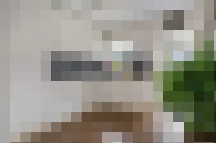 Sint Nicolaasstraat 9 Lutjebroek thumbnail 8