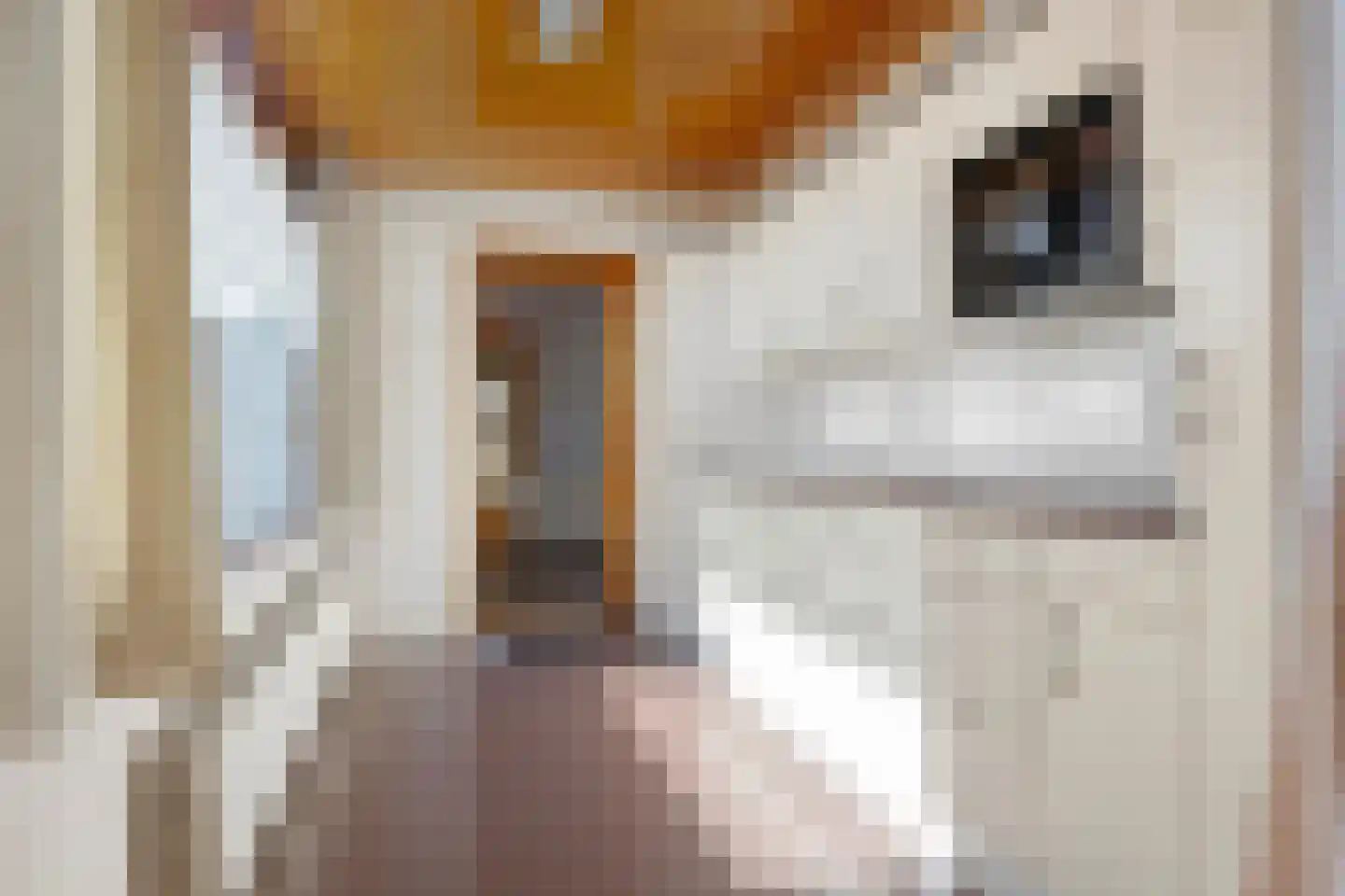 Sint Nicolaasweg 28 Bunschoten-Spakenburg thumbnail 10