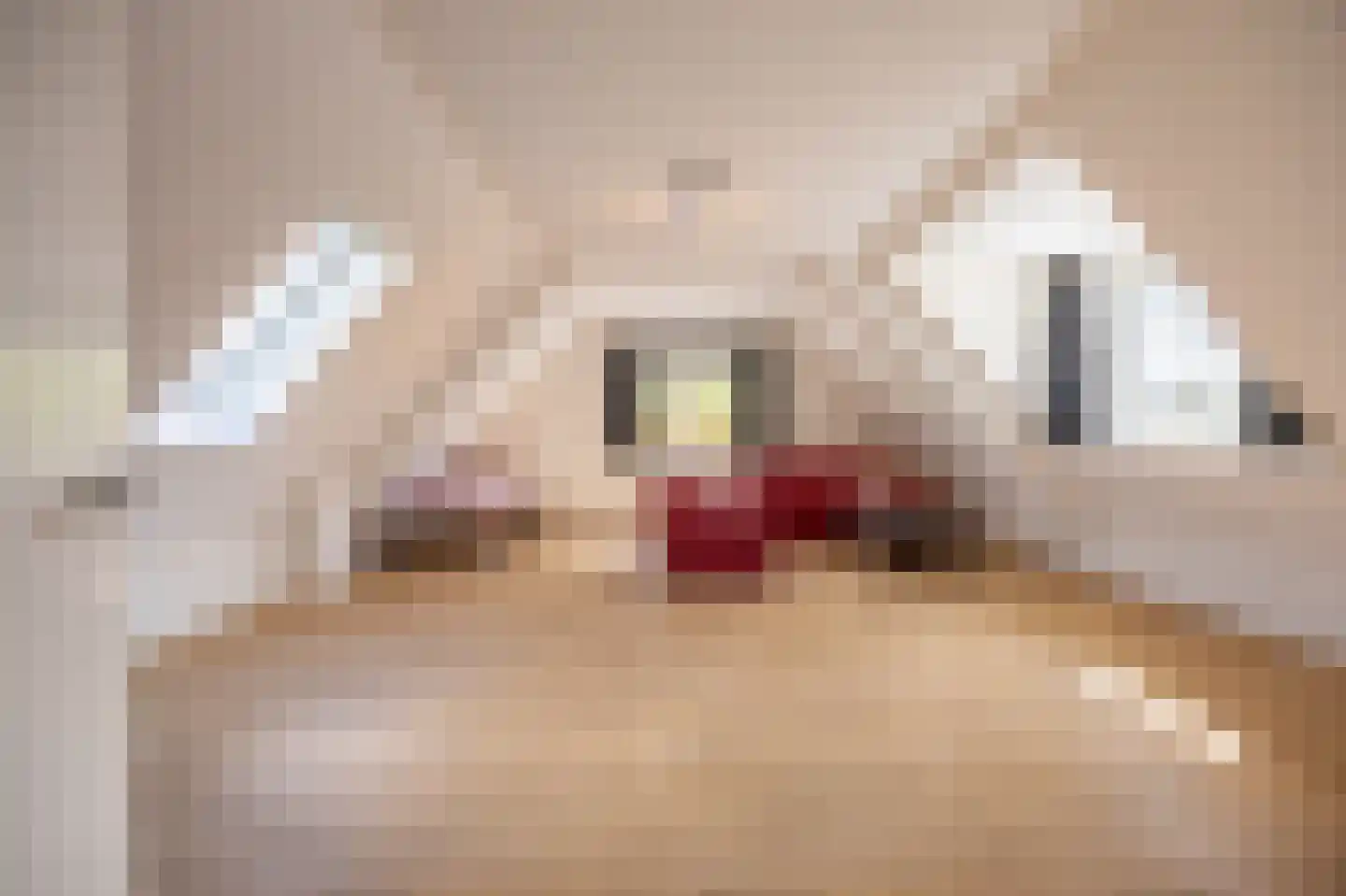 Sint Nikolaasstraat 5 Helvoirt thumbnail 23