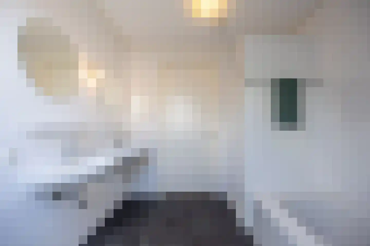Sint Nikolaasstraat 5 Helvoirt thumbnail 26