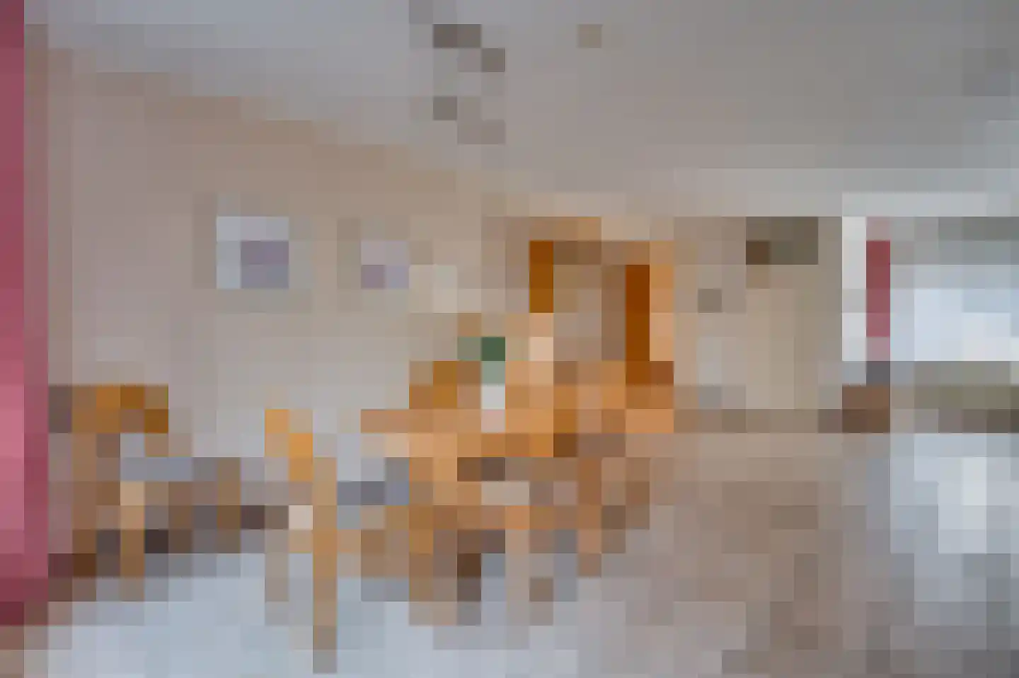 Sint Norbertusstraat 4 Venlo thumbnail 14