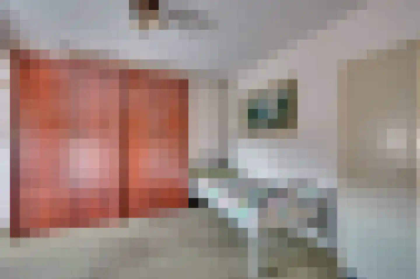 Sint Norbertusstraat 4 Venlo thumbnail 29