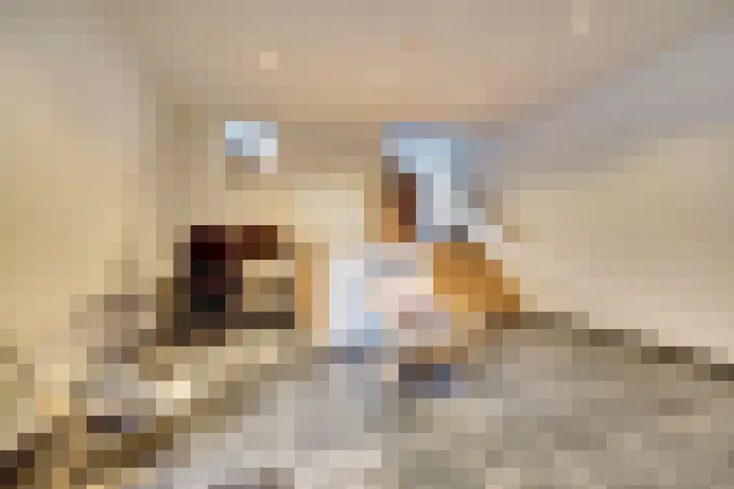 Sint Odradastraat 9 Alem thumbnail 11