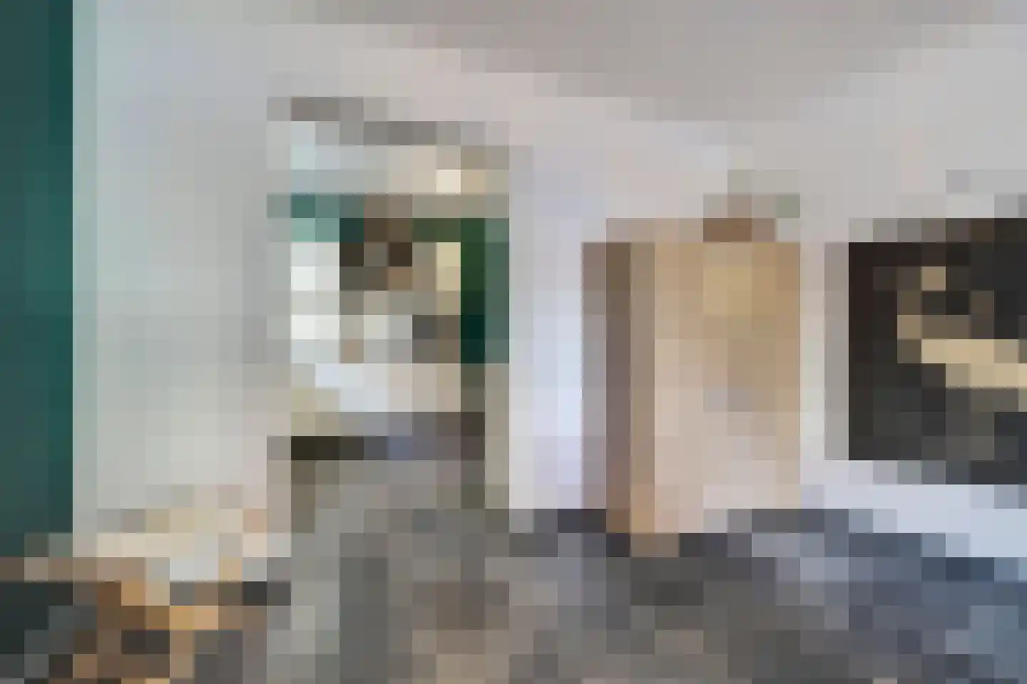 Sint Odradastraat 9 Alem thumbnail 18
