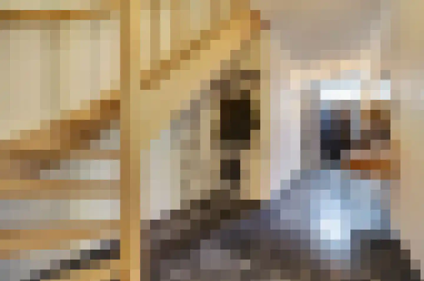 Sint Odradastraat 9 Alem thumbnail 21