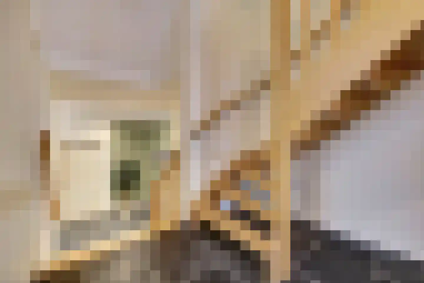 Sint Odradastraat 9 Alem thumbnail 23