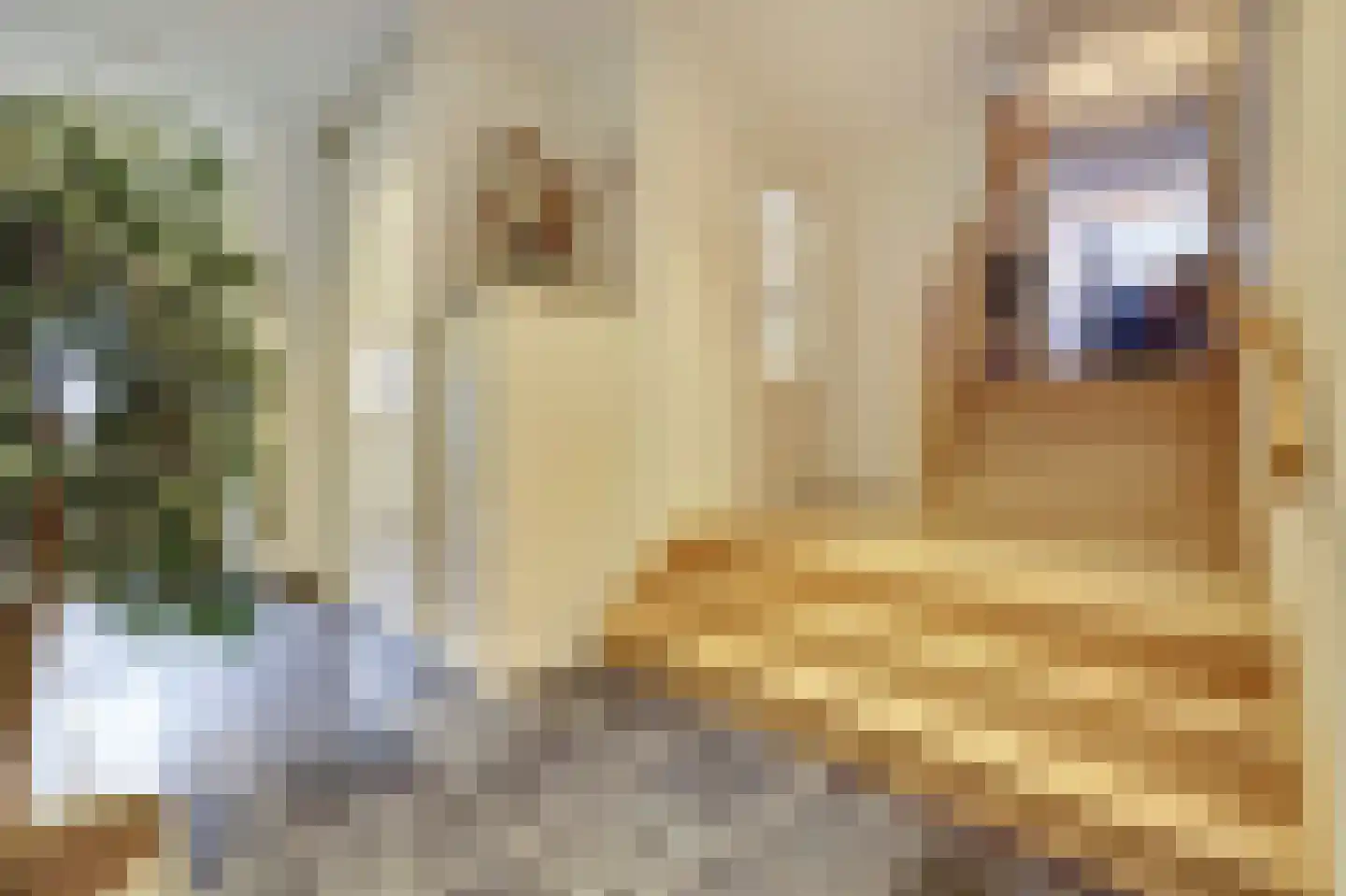 Sint Odradastraat 9 Alem thumbnail 24