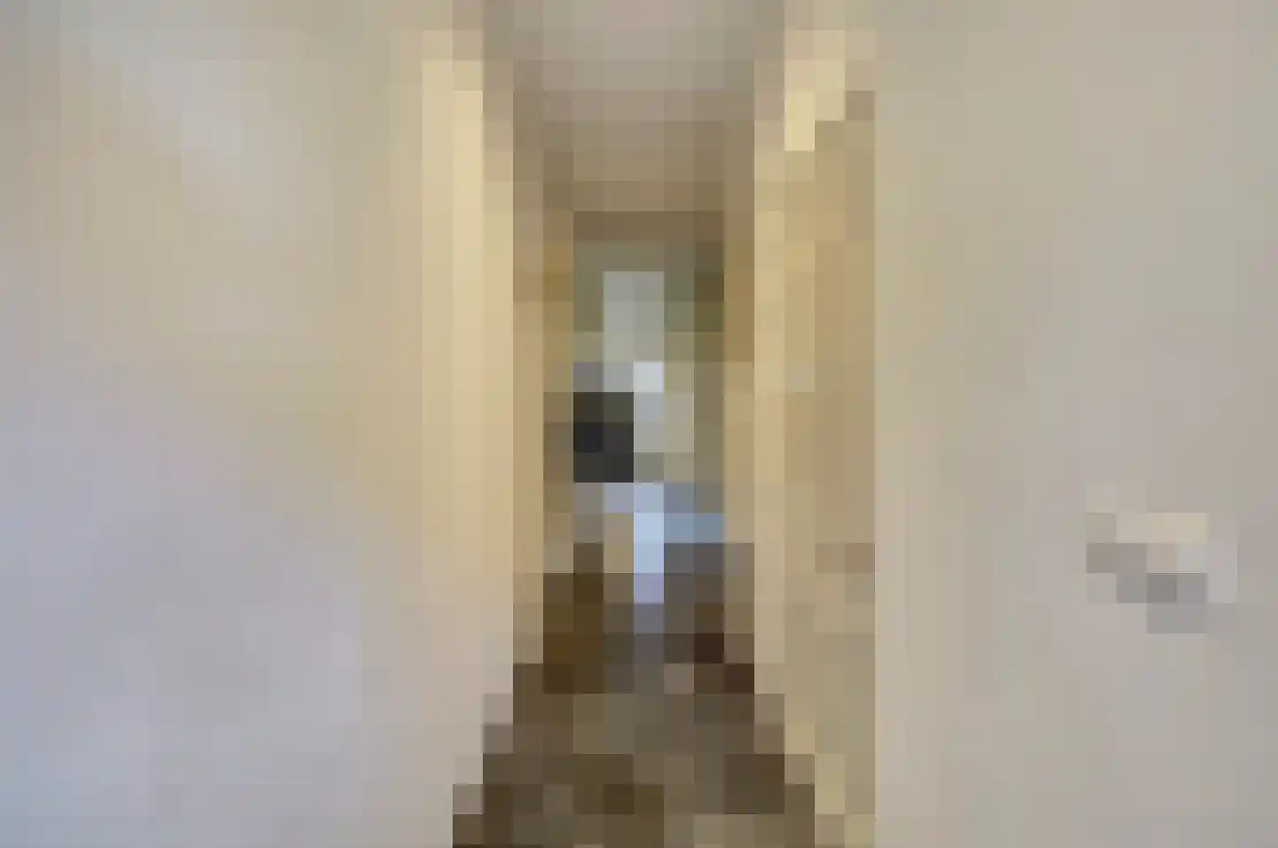 Sint Odradastraat 9 Alem thumbnail 26