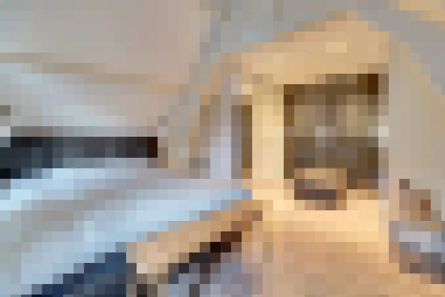 Sint Odradastraat 9 Alem thumbnail 33
