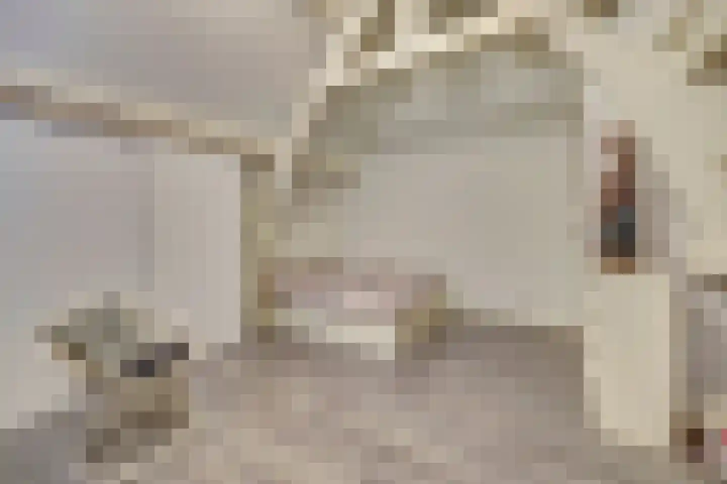 Sint Odradastraat 9 Alem thumbnail 37
