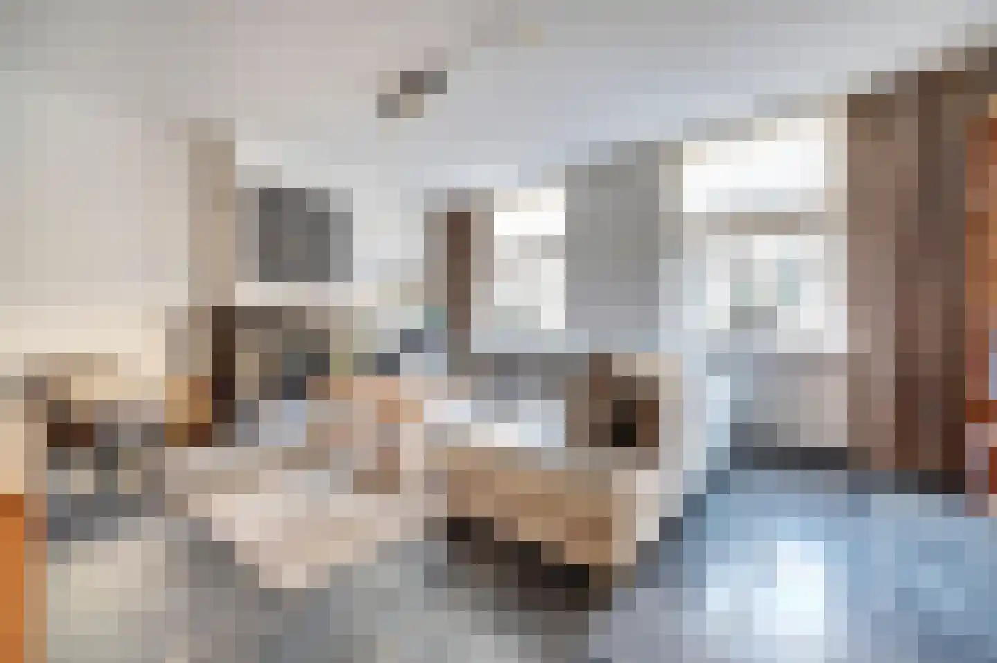 Sint Odradastraat 9 Alem thumbnail 4