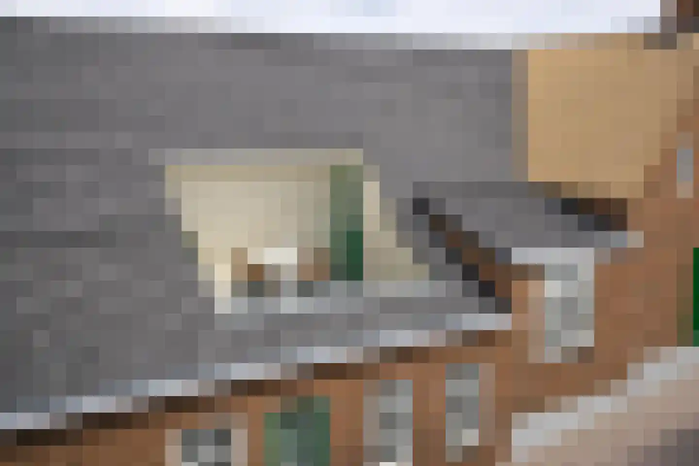 Sint Odradastraat 9 Alem thumbnail 55