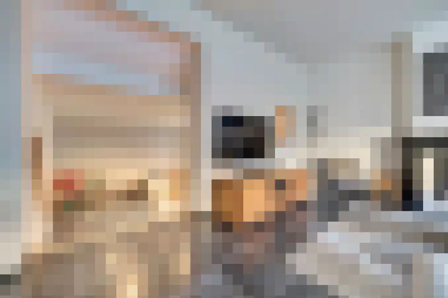 Sint Odradastraat 9 Alem thumbnail 8