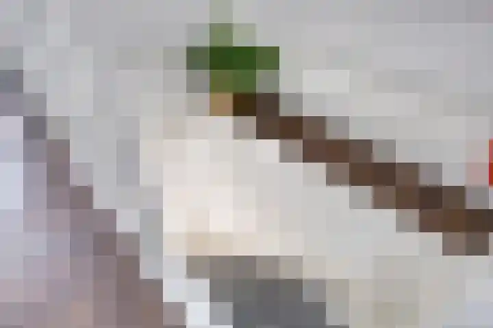 Sint Odulfstraat 13 Wijk aan Zee thumbnail 22