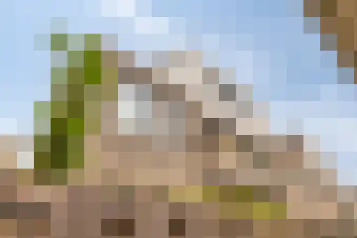 Sint Odulfstraat 13 Wijk aan Zee thumbnail 28
