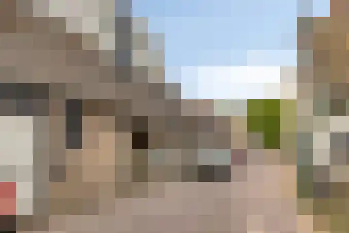 Sint Odulfstraat 13 Wijk aan Zee thumbnail 30