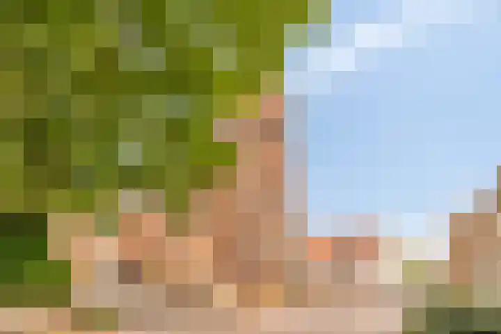Sint Odulfstraat 13 Wijk aan Zee thumbnail 32