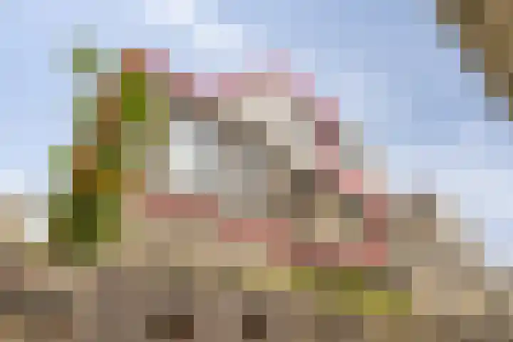 Sint Odulfstraat 13 Wijk aan Zee thumbnail 4