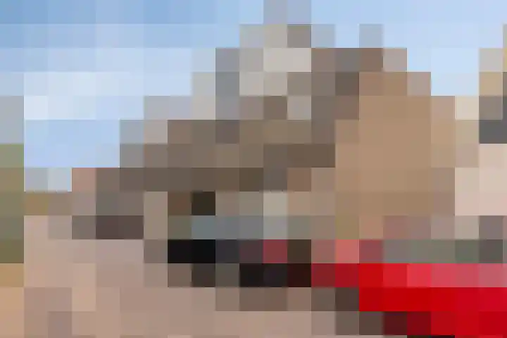 Sint Odulfstraat 13 Wijk aan Zee thumbnail 5