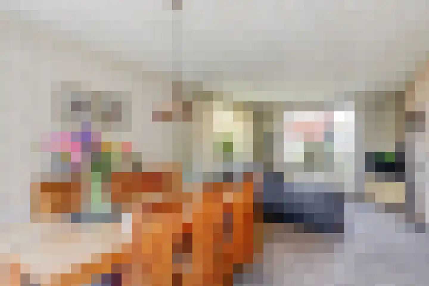 Sint Odulphusstraat 11 Bakhuizen thumbnail 13
